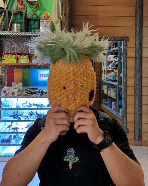 AstraSpire 联合创始人逸茗以菠萝遮面出镜